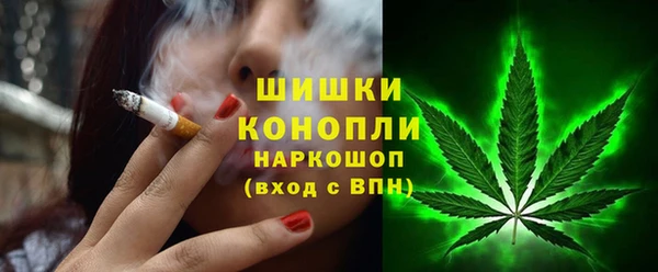 трава Бородино